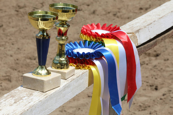 Groep paardrijden Paardensport trofeeën en badges rozetten op paardensport evenement op wit houten hek - Foto, afbeelding