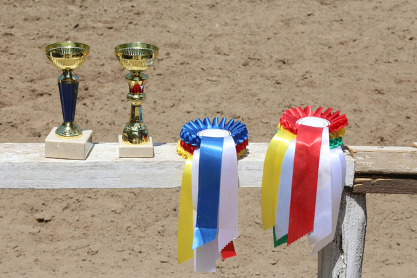 Skupina jezdeckých jezdeckých sportovních trofejí a odznaků rozety na jezdecké akci na bílém dřevěném plotě - Fotografie, Obrázek