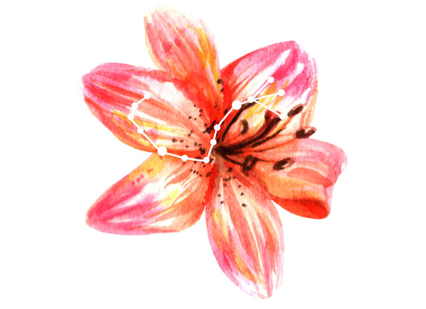 Beautiful bright lily flower with scorpio zodiac sign on it. Hand drawn watercolor illustration in realistic style. For astrological or lunar calendar, print or wrapping paper. Greeting card,logo,blog - 写真・画像