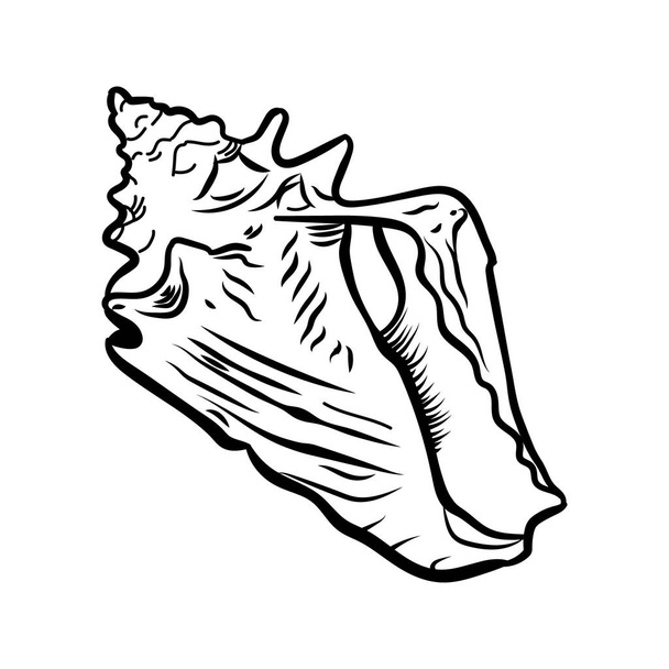 Angular murex seashell hand drawn illustration - Vektor, kép