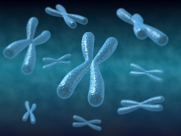 Chromosomen - 3d Afbeelding weergeven - Foto, afbeelding