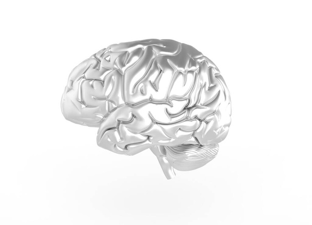 3D Render of Brain - Silver metal color - Foto, Bild