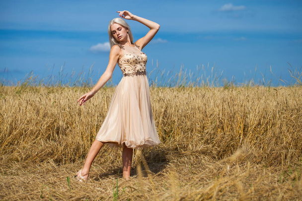 Портрет повного тіла молодої красивої блондинки в модному платті, що йде пшеничним полем
 - Фото, зображення
