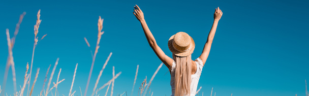 Вид сзади женщины в соломенной шляпе, стоящей с поднятыми руками на фоне голубого неба, панорамный урожай - Фото, изображение