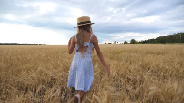 Bulutlu bir günde buğday tarlasında yürüyen uzun sarı saçlı şirin çocuğu takip edin. Hasır şapkalı küçük kız arpa otlağının üzerinden geçiyor. Elbiseli küçük çocuk altın tarlasında vakit geçiriyor. - Video, Çekim