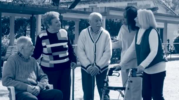 Zwei ältere Paare unterhalten sich im Freien mit einer afrikanischen Arzthelferin. Freizeit im Garten - Filmmaterial, Video