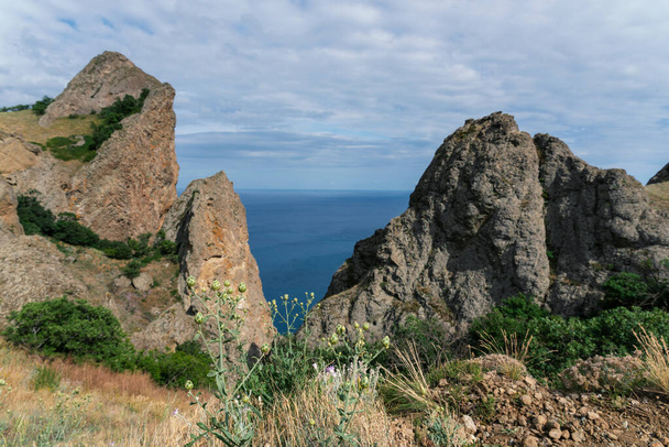Hierbas y piedras silvestres en un acantilado sobre el mar - Foto, Imagen