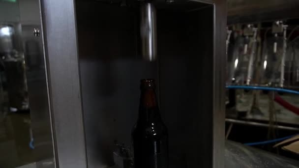 Crown capping proces met een glazen bierflesstop. Biervulsysteem. Brouwerij apparatuur. Ambachtelijk bier. - Video