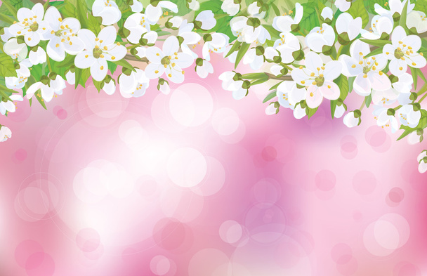 Vector blossoming tree on pink background. - Vector, Image