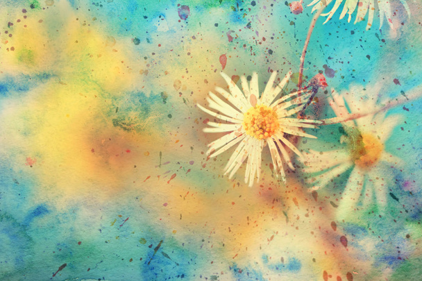 Watercolor splatter and small chamomiles - Foto, immagini