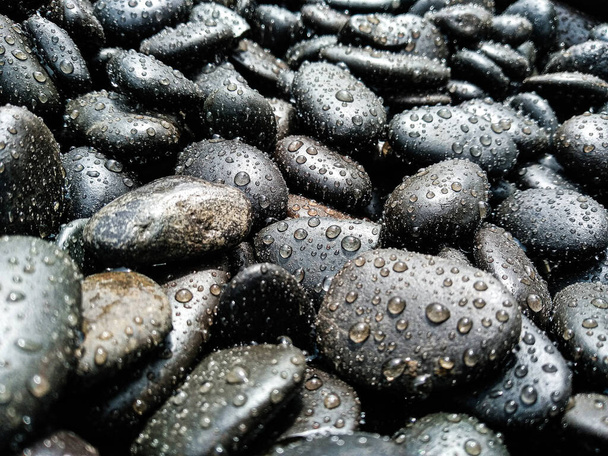 Много темных камней различных размеров, покрытых маленькими капельками воды, опрыскиваемых водой. Черная, серая, темно-коричневая галька. Плоские черные камни, круглые камни после дождя. - Фото, изображение