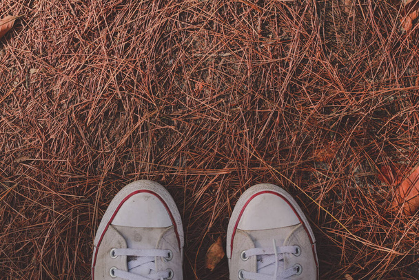 Низкая секция человека в обуви стоит на сене на открытом воздухе. - Фото, изображение