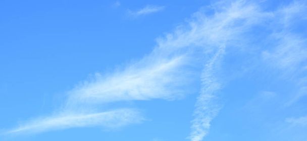 Білі хмари на блакитному небі
 - Фото, зображення