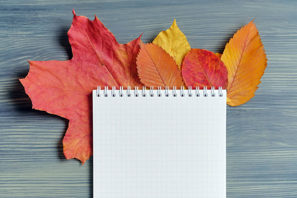 Abstract autumn concept of dried leaves with a notebook for copy space. - Foto, Imagem