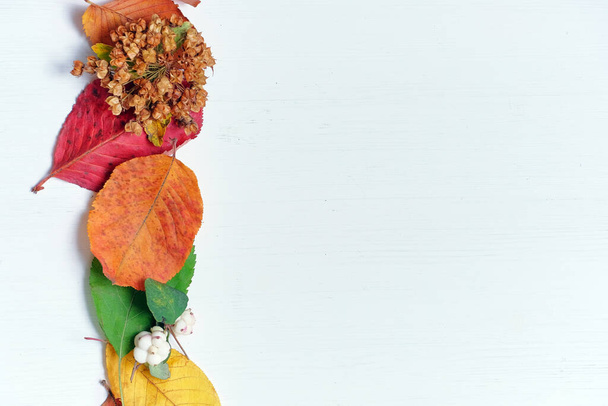 Abstrakcyjna koncepcja jesieni z suszonymi liśćmi i drewnianym tłem dla przestrzeni kopiującej. - Zdjęcie, obraz