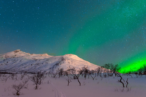 πολικών φώτων στη Νορβηγία - Φωτογραφία, εικόνα
