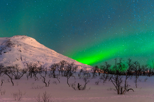 polární světla v Norsku - Fotografie, Obrázek