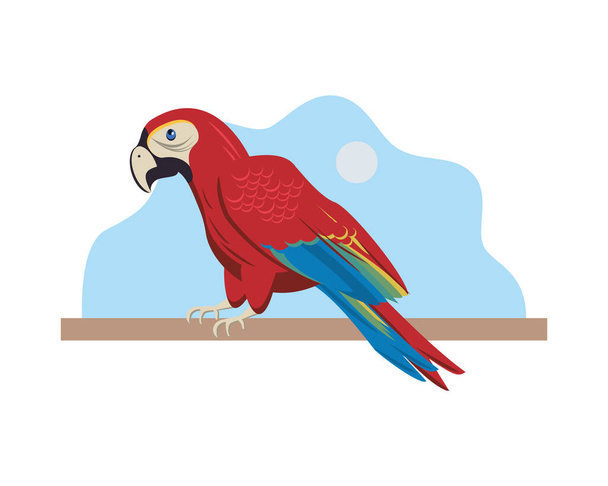 άγρια εξωτικό πουλί macaw ζώο εικονίδιο - Διάνυσμα, εικόνα