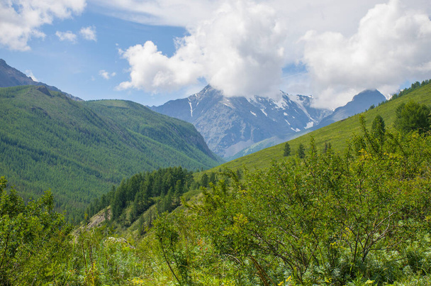 Beautiful landscape of the nature of Altai mountains in Russia - Photo, Image