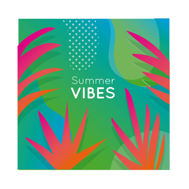 vibrações de verão bandeira colorida com plantas de folhas
 - Vetor, Imagem