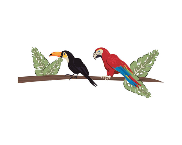 aras exotiques sauvages et oiseaux toucans animaux - Vecteur, image
