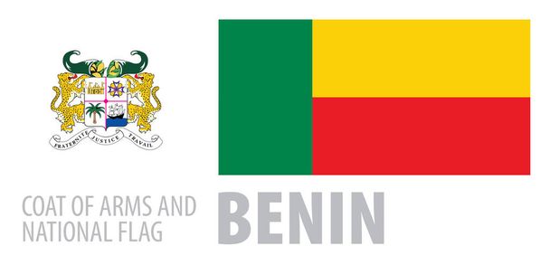 Vectorset van de nationale vlag van Benin in diverse creatieve ontwerpen - Vector, afbeelding