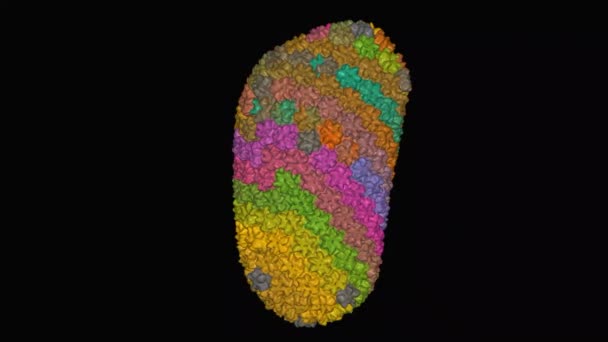 Struktur des HIV-1-Kapsids, dynamisches 3D-Oberflächenmodell, schwarzer Hintergrund, Ketten-ID-Färbung - Filmmaterial, Video