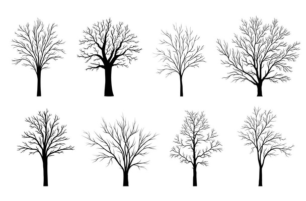 Силуети дерев встановлені ізольовані на білому тлі. Векторні ілюстрації
 - Вектор, зображення