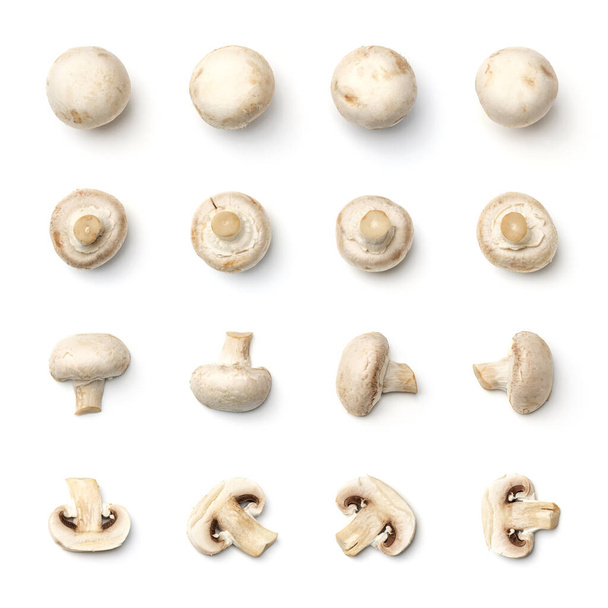 Collection of champignons isolated on white background. Set of multiple images. Part of series - Фото, изображение