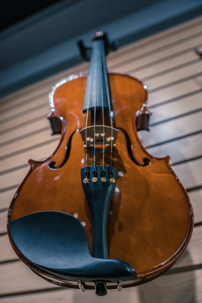 новая скрипка в стене в магазине - Фото, изображение