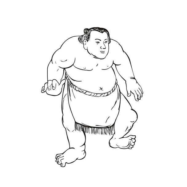 Ilustración de estilo ukiyo-e o ukiyo de un luchador de sumo profesional o rikishi en posición de lucha vista desde el frente sobre un fondo aislado hecho en blanco y negro. - Vector, imagen