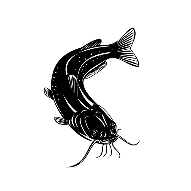 Ретро-дерев'яний стиль ілюстрація каналу catfish Ictalurus punctatus або канальний кіт, найбільш численні види собачих риб Північної Америки, плавають на ізольованому тлі, зробленому чорно-білим кольором.. - Вектор, зображення