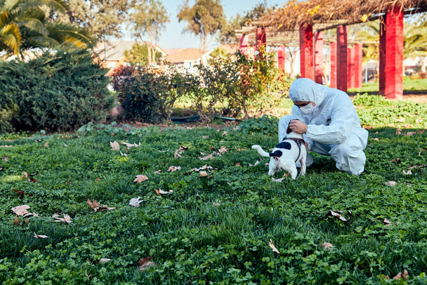 giovane uomo con maschera di sicurezza e tuta chirurgica nel parco con il suo cane volpe terrier cileno accarezzandolo nel bel mezzo della pandemia covid 19, concetto amante del cane - Foto, immagini