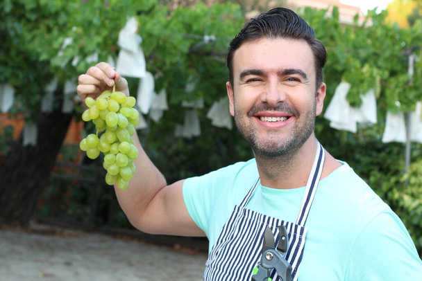 close-up portrait of handsome young man in apron holding branch of grapes in garden - Fotoğraf, Görsel