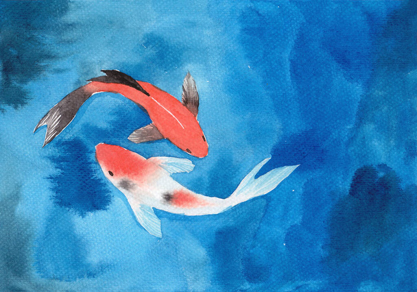 Υδατογραφία χέρι ζωγραφική, δύο ψάρια κυπρίνου koi στη λίμνη, σύμβολο της καλής τύχης και της ευημερίας - Φωτογραφία, εικόνα