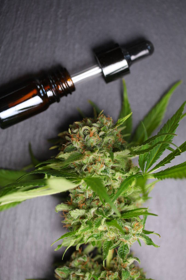 Medical marijuana cannabis cbd oil - Photo, Image