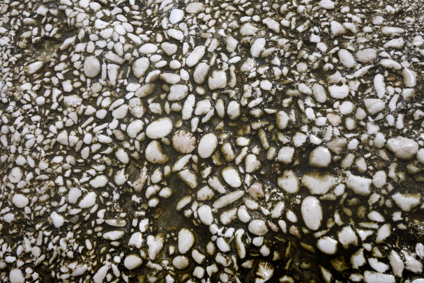 Natural sea mosaic made of aggregated stones - Foto, afbeelding