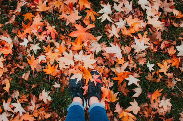 Małe kobiece nóżki w czarnych butach do biegania stąpające po trawie pokrytej suchymi pomarańczowymi liśćmi charakterystycznymi dla sezonu jesiennego. - Zdjęcie, obraz