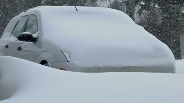 αυτοκίνητα που σκεπάζεται από τα χιόνια. - Πλάνα, βίντεο