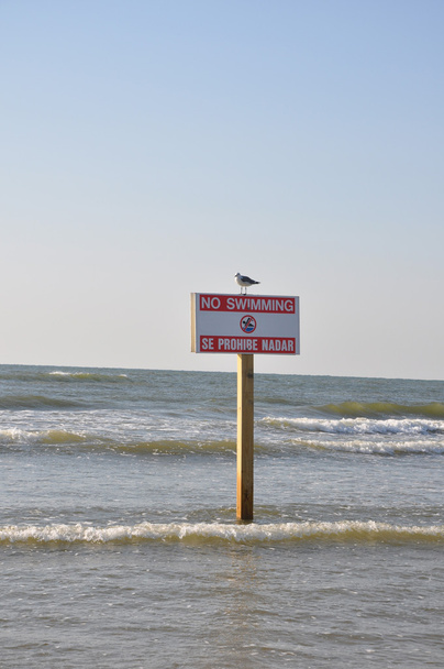 No Swimming sign and symbol - Photo, Image