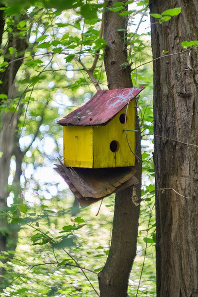 A vertical selective focus shot of wooden birdhouse on tree - Foto, afbeelding