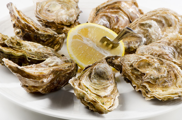 Fresh oysters - Foto, afbeelding