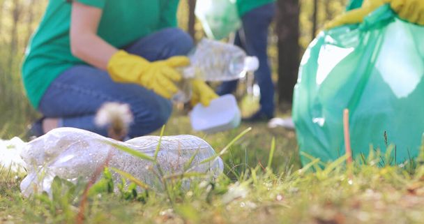 Plastic bottle and plastic bag on the grass in the park. Cleaning of volunteers. - Foto, Bild