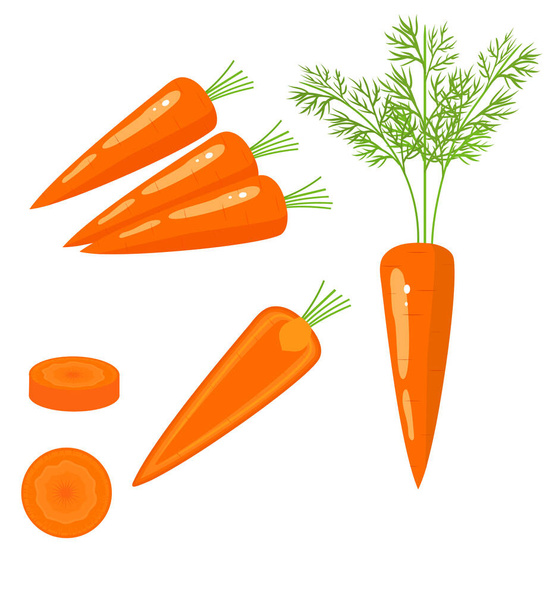 Luminoso set vettoriale di metà colorata, fetta e tutta la carota. Fresco cartone animato vegetale isolato su sfondo bianco. Illustrazione utilizzata per riviste, libri, manifesti, cartoline, copertine di menu, pagine web. - Vettoriali, immagini