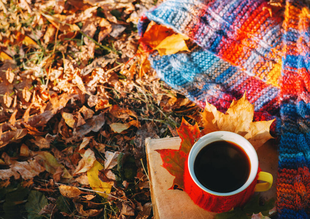 Чашка горячего кофе на осенних листьях в парке. Красивый красочный вязаный шарф осеннего цвета. копировальное пространство - Фото, изображение