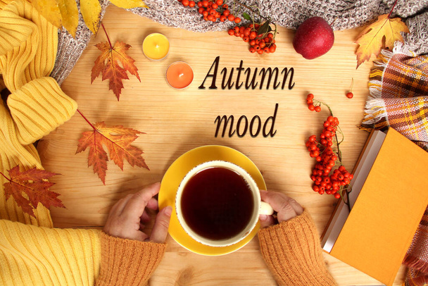 autumn flat in the Scandinavian hugg style with hot tea, coffee, yellow leaves, cozy knitwear, a book, a pumpkin and gloves - Φωτογραφία, εικόνα