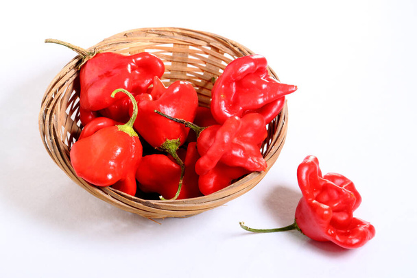 Capsicum baccatum is a species of chili pepper that includes the following cultivars - Photo, Image