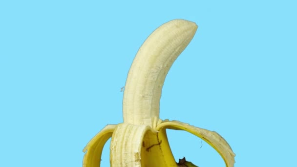 Animované záběry napůl loupaného banánu obracejícího se proti modrému pozadí - Záběry, video