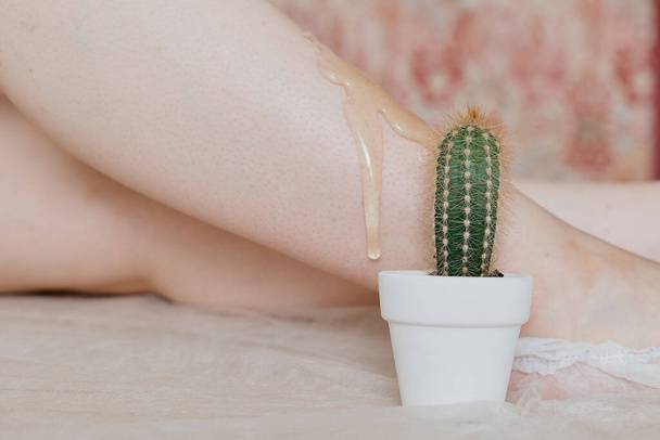 Sugaring paste pours from the skin of the Shin next to a prickly cactus. a green cactus with prickly needles stands in a white pot against a background of smooth legs - Valokuva, kuva