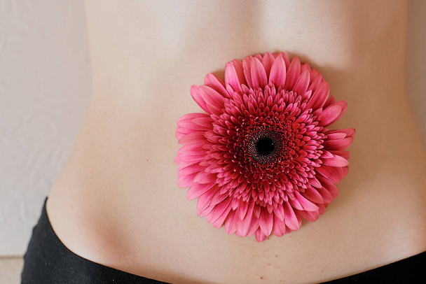 naked belly with a pink gerbera flower in the navel close up - Фото, зображення